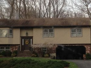 dirty roof, roof cleaning, black streaks, mold, mildew, fungus, westchester, armonk, chappaqua