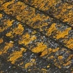 Pound Ridge House and Roof Washing, Westchester Power Washing, Roof Shampoo, roof cleaning, pressure washing, slate roof cleaning, roof wash, roof cleaning, power washing, roof shampoo, roof lichens- westchester power washing